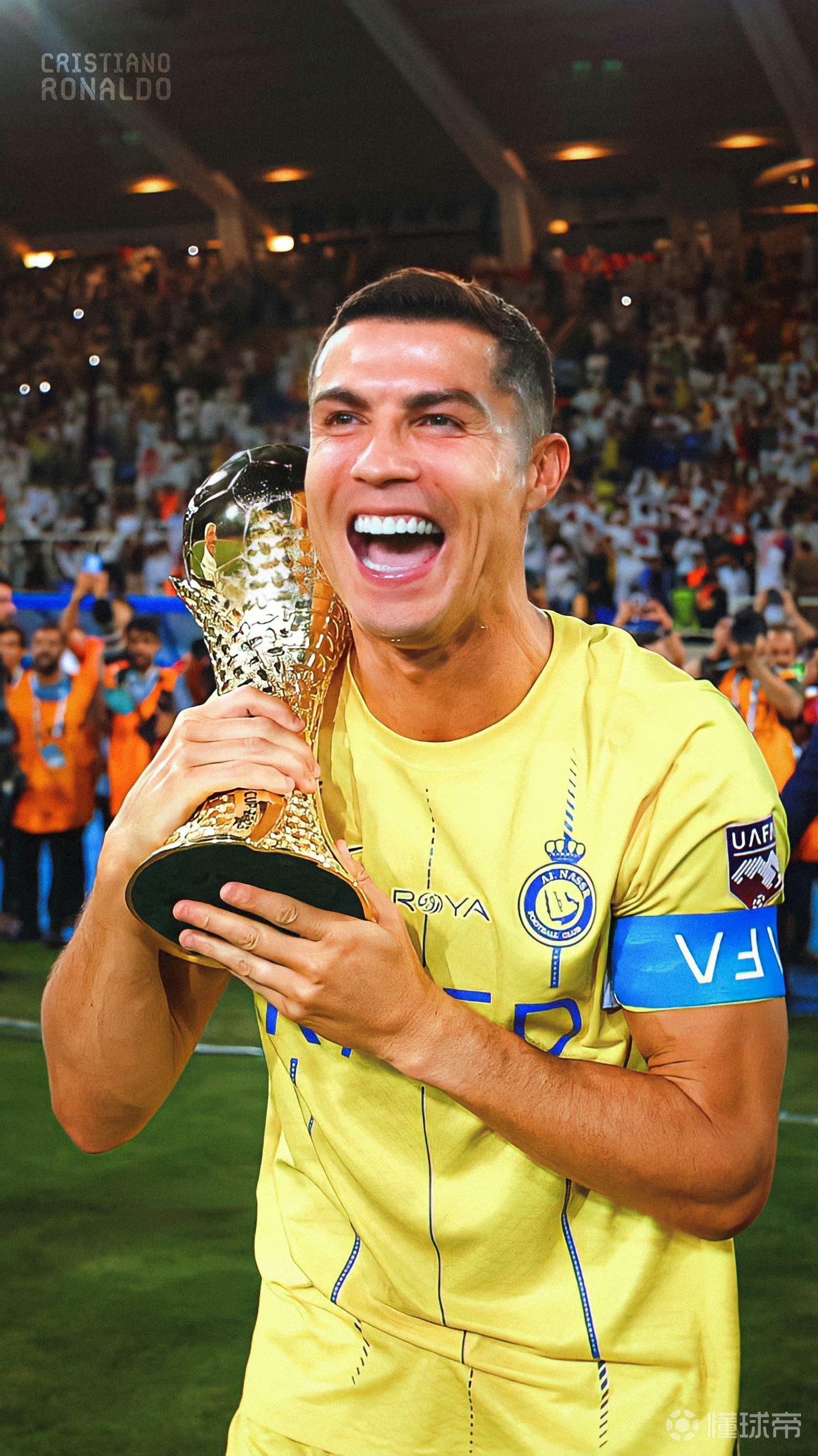 行政许可与刑事违法冲突处理指南